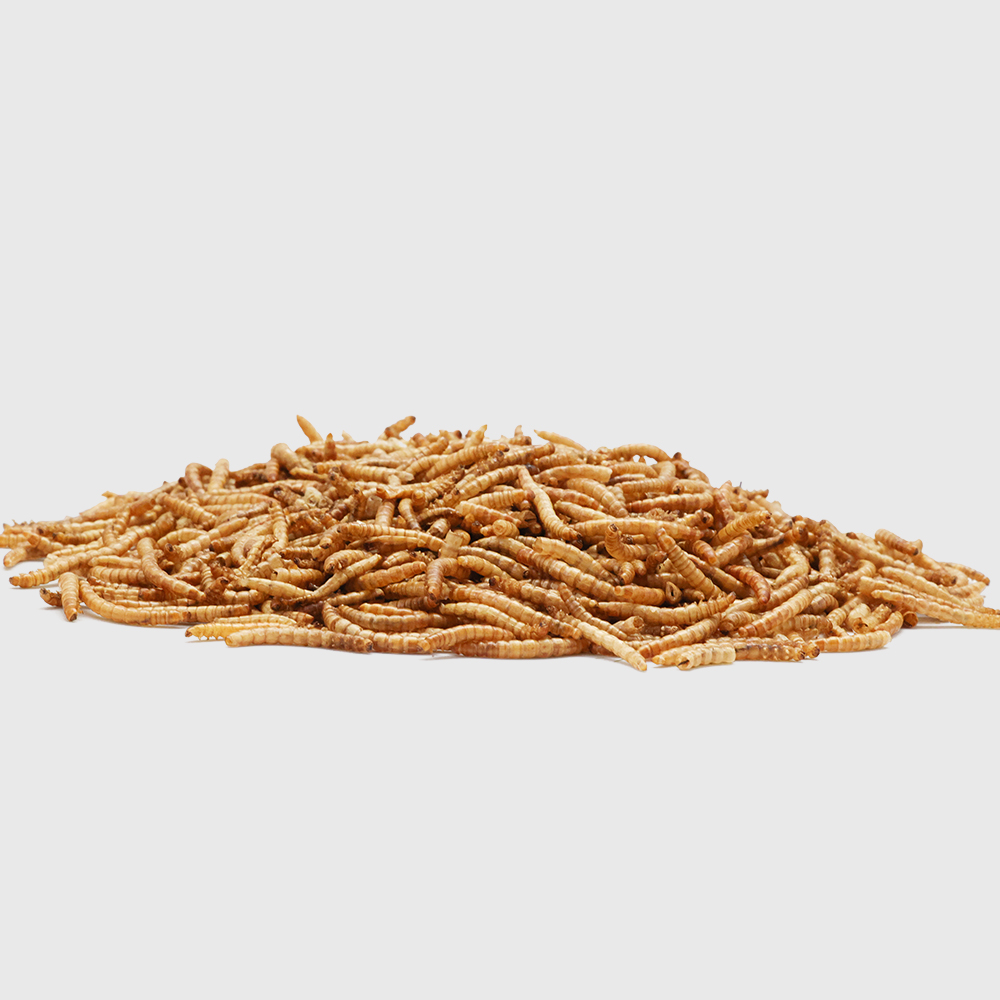 MICROWAVE DRIED MEALWORM