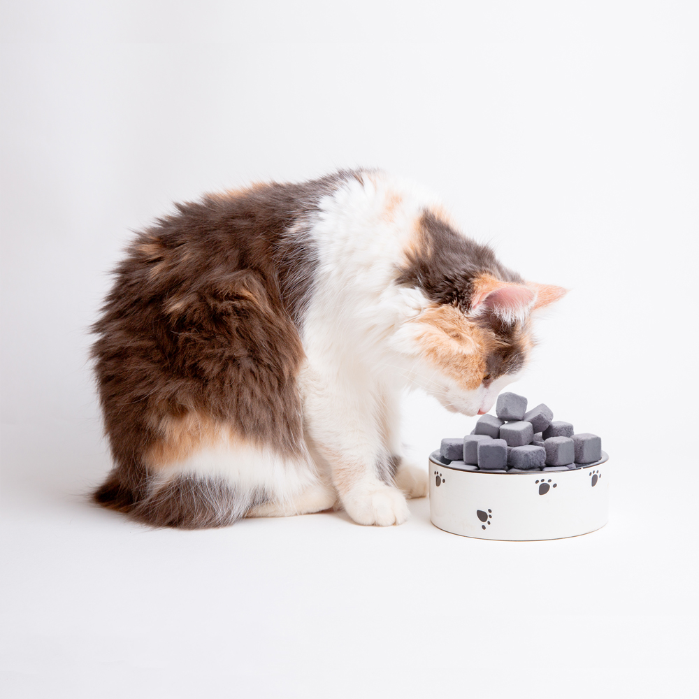 FREEZE DRIED BLUEBERRY FLAVORED YOGURT CUBE